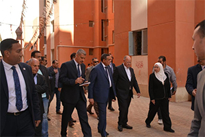 Local Development Min., Cairo Gov. follow up services in Asmarat city 
