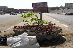 حملات للنظافه وتجميل الشوارع 