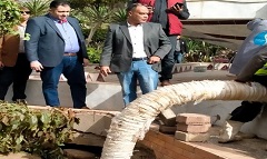 اصلاح هبوط أرضي بميدان فكتوريا 