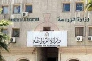 alzeraa55555555555.jpg