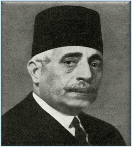 شارع نخلة المطيعي