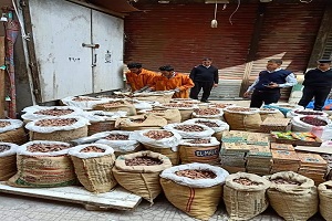 حملة كبرى بقيادة رئيس الحي