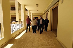 alpsateen 14.5.jpg