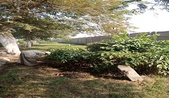 tpeen17.11.jpg