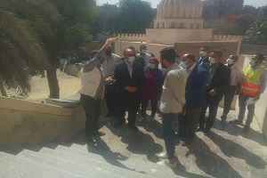 eelzzm72.jpg