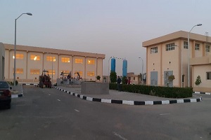 El-Sarf El-Sehy.jpg