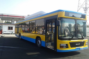 NEW_BUS.jpg