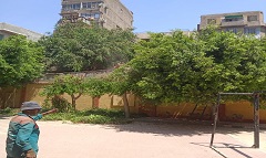 bab_alsha3rya_aug3.jpg