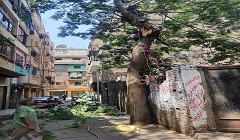 bab_alsh3rya_aug3.jpg