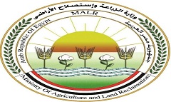 «الزراعة» تكثف حملاتها على أسواق الأسماك المملحة.. وتقدم إرشاداتها للمواطنين