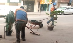 تجريد ورفع كفاءة الكنس الالي ببعض الشوارع بالحي