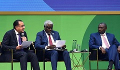 Egypt_PM_African_nations.jpg