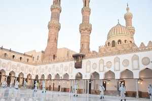 Egypt_armed_forces_sterilize_mosques.jpg