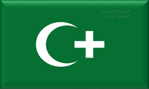 علم ثورة 1919