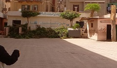  الاهتمام بالمساحات الخضراء  بنطاق الحي  