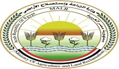 zeraaa19.jpg