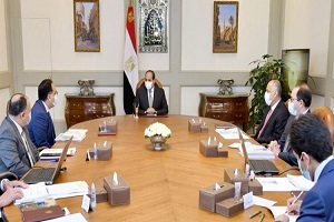 sisi_meets_with_government.jpg