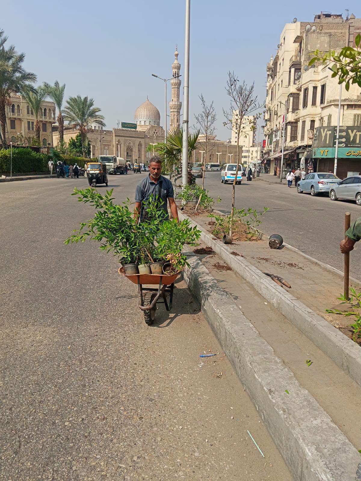 متابعة أعمال تطوير وزراعة الأحواض التجميلية بشارع بورسعيد