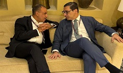 Egypt_FM_Cypriot_economic_cooperation.jpg