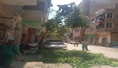 متابعة اعمال تقليم وتهذيب الأشجار بنطاق الحي 