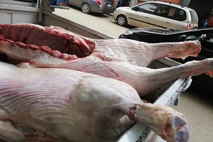 مديرية الطب البيطري: ضبط 30 طن و337 كجم من اللحوم  الغير صالحة للاستهلاك الآدمي