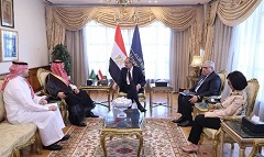 Egypt_S_Arabia_cooperation.jpg