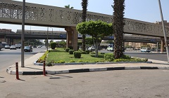 haiah19.jpg