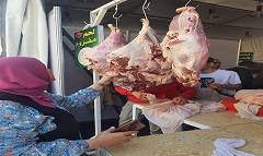 bab_alsha3rya_mar1.jpg
