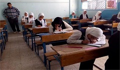 talem18.5.jpg
