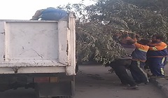 أعمال نظافة ورفع مخلفات من شوارع الحي