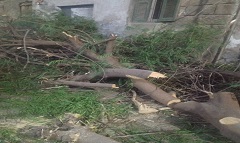 azbakya_jul2.jpg (1)