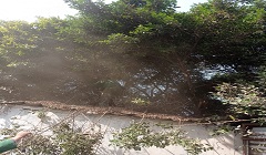azbakya_mar1.jpg (2)