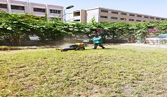 masara13.6.jpg
