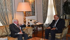 Egypt_foreign_minister.jpg (5)