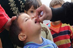 hamlt shall elatfal.jpg