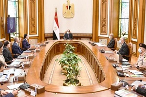 president_sisi_agricultural_plots.jpg