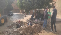 tpeen2.1.jpg