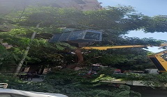 ازالة مخلفات سقوط شجرة بنطاق الحي