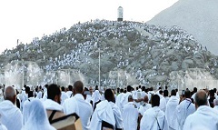 arafa29.5.jpg