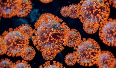 coronavirus_rises_in_Egypt.jpg