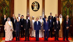 sisi_media_role.jpg