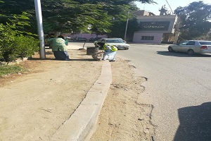 masara 21.7.jpg