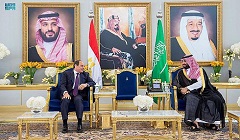 Egypt_Saudi_Arabia.jpg (2)