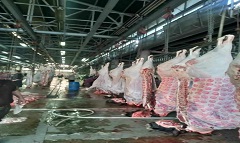 e3lam_1.jpg (2)