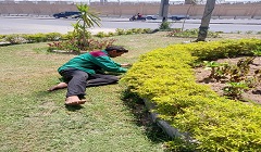 الاستمرار بتكثيف حملات النظافة ومتابعتها بشوارع الحي