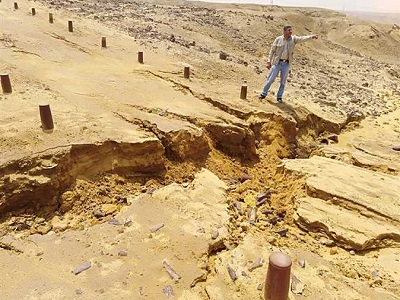 محمية الغابة المتحجرة بالمعادي