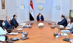 Sisi_orders_government.jpg