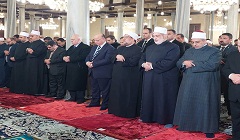 aokaf17.2.jpg