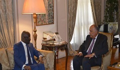 Egypt_FM_Shoukry.jpg