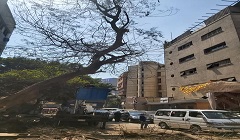 التعامل مع سقوط شجرة بشارع الصحافة